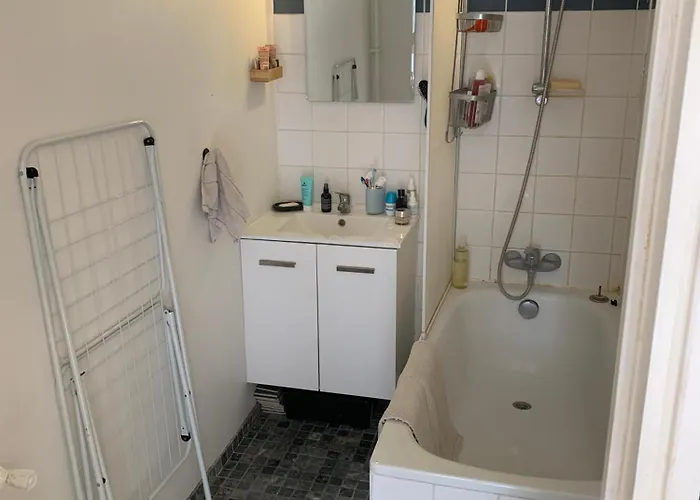 Sunny Escape In Belleville Appartement Parijs